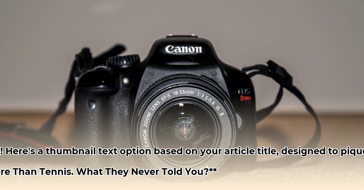 camera-ashe-net-worth